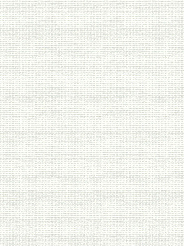 Detailansicht Asellus 102555L