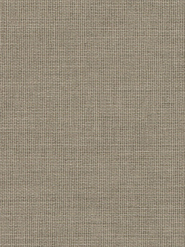 Detailansicht Asellus 702702L