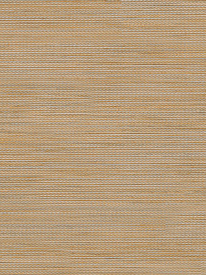 Coswig 00.860e Detailansicht