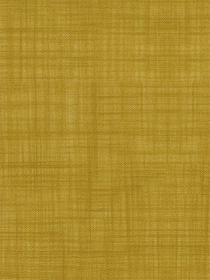 Rollo Anser 5503.1505 Detailansicht