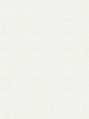 Asellus 102555L Detailansicht