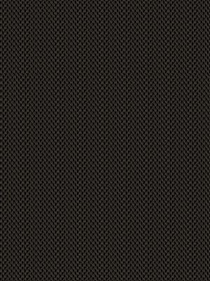 Brühl 40.064e Detailansicht