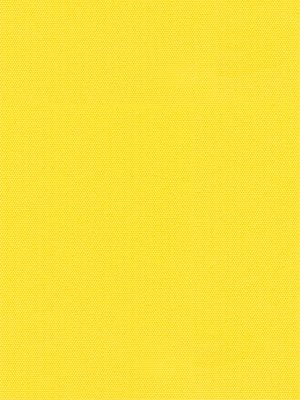 Rollo Mira 5503.2509 Detailansicht