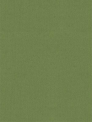 Rollo Mira 5506.2513 Detailansicht