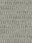 Asterope 802643L