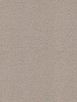Asterope 702795L