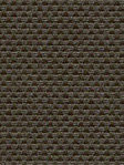 Adhara 702861L